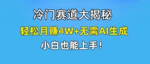 冷门赛道大揭秘，轻松月赚1W+无需AI生成，小白也能上手【揭秘】-ANQUYE-HENHENLU-26UUU[首页]