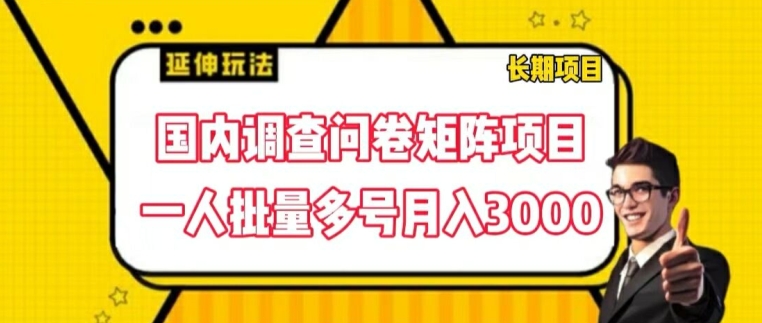 国内调查问卷矩阵项目，一人批量多号月入3000【揭秘】-ANQUYE-HENHENLU-26UUU[首页]