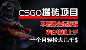 CSGO 装备搬砖项目，操作简单，不需要会玩游戏，小白也能快速上手，一个月轻松大几千【揭秘】-ANQUYE-HENHENLU-26UUU[首页]