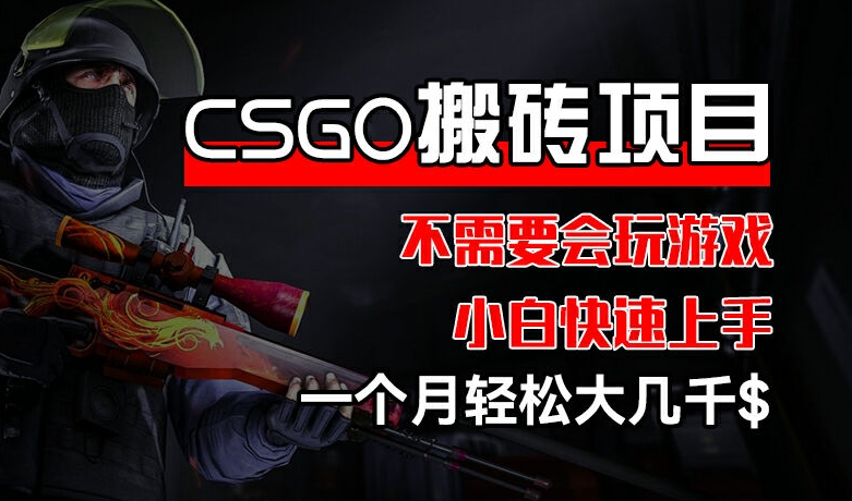 CSGO 装备搬砖项目，操作简单，不需要会玩游戏，小白也能快速上手，一个月轻松大几千【揭秘】-ANQUYE-HENHENLU-26UUU[首页]
