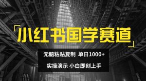 小红书国学赛道，无脑粘贴复制，单日1K，实操演示，小白即刻上手【揭秘】-ANQUYE-HENHENLU-26UUU[首页]