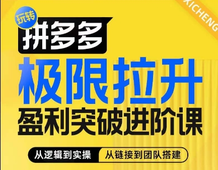 拼多多极限拉升盈利突破进阶课，​从算法到玩法，从玩法到团队搭建，体系化系统性帮助商家实现利润提升-ANQUYE-HENHENLU-26UUU[首页]