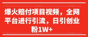 爆火赔付项目视频，全网平台进行引流，日引创业粉1W+【揭秘】-ANQUYE-HENHENLU-26UUU[首页]