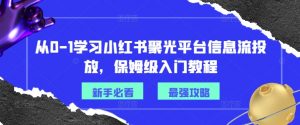 从0-1学习小红书聚光平台信息流投放，保姆级入门教程-ANQUYE-HENHENLU-26UUU[首页]