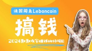 法国闲鱼Leboncoin跨境电商教程：环境邮箱电话解决产品上传及流量，悄悄赚钱【揭秘】-ANQUYE-HENHENLU-26UUU[首页]
