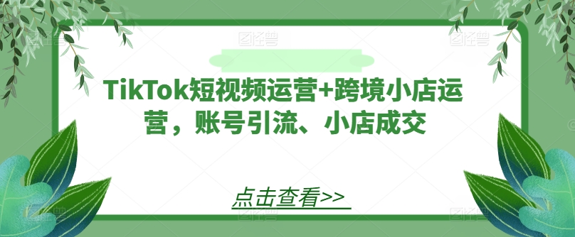 TikTok短视频运营+跨境小店运营，账号引流、小店成交-ANQUYE-HENHENLU-26UUU[首页]