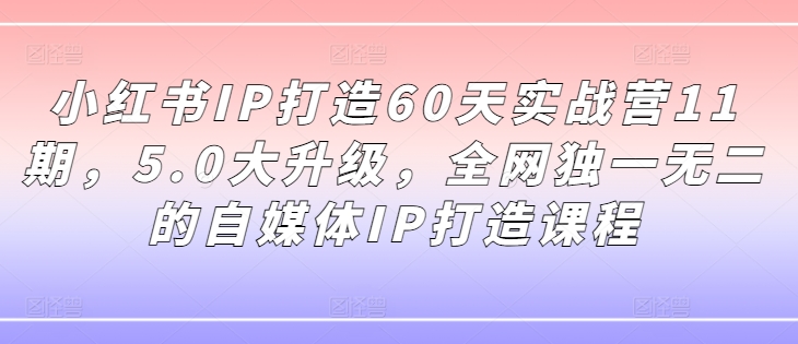 小红书IP打造60天实战营11期，5.0大升级，全网独一无二的自媒体IP打造课程-ANQUYE-HENHENLU-26UUU[首页]