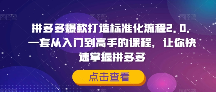 拼多多爆款打造标准化流程2.0，一套从入门到高手的课程，让你快速掌握拼多多-ANQUYE-HENHENLU-26UUU[首页]