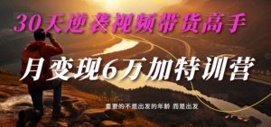 30天逆袭视频带货高手，单月变现6万加特训营-麦子甜-ANQUYE-HENHENLU-26UUU[首页]