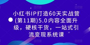 小红书IP打造60天实战营(第11期)5.0​内容全面升级，硬核干货，一站式引流变现系统课-ANQUYE-HENHENLU-26UUU[首页]