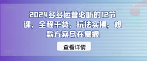 2024多多运营必听的12节课，全程干货，玩法实操，爆款方案尽在掌握-ANQUYE-HENHENLU-26UUU[首页]