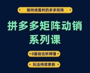 拼多多矩阵动销系列课，能持续盈利的多多矩阵，0基础也听得懂，玩法持续更新-ANQUYE-HENHENLU-26UUU[首页]