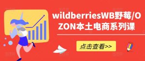 wildberriesWB野莓/OZON本土电商系列课，掌握WB产品优化，出单技巧和订单处理等-ANQUYE-HENHENLU-26UUU[首页]