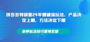 拼多多特训营24年爆破流玩法，产品决定上限，方法决定下限，各种玩法技巧落地实操-ANQUYE-HENHENLU-26UUU[首页]