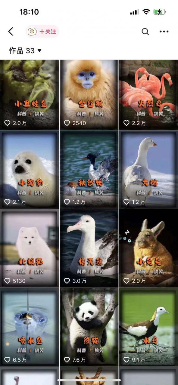 动物科普解说项目，撸创作者伙伴计划收益，保姆级实战教程-ANQUYE-HENHENLU-26UUU[首页]