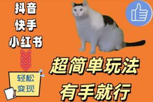 超简单玩法，有手就行，靠猫咪视频日入500+【揭秘】-ANQUYE-HENHENLU-26UUU[首页]