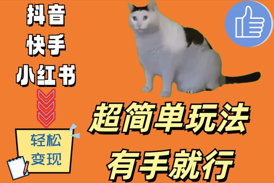超简单玩法，有手就行，靠猫咪视频日入500+【揭秘】-ANQUYE-HENHENLU-26UUU[首页]