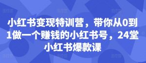小红书变现特训营，带你从0到1做一个赚钱的小红书号，24堂小红书爆款课-ANQUYE-HENHENLU-26UUU[首页]