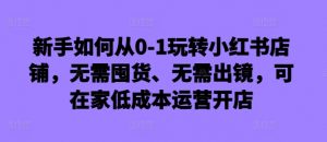 新手如何从0-1玩转小红书店铺，无需囤货、无需出镜，可在家低成本运营开店-ANQUYE-HENHENLU-26UUU[首页]