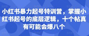 小红书暴力起号特训营，掌握小红书起号的底层逻辑，十个帖真有可能会爆八个-ANQUYE-HENHENLU-26UUU[首页]
