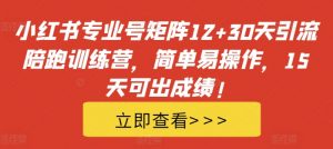 小红书专业号矩阵12+30天引流陪跑训练营，简单易操作，15天可出成绩!-ANQUYE-HENHENLU-26UUU[首页]