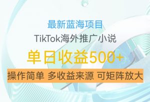 最新蓝海项目，利用tiktok海外推广小说赚钱佣金，简单易学，日入500+，可矩阵放大【揭秘】-ANQUYE-HENHENLU-26UUU[首页]
