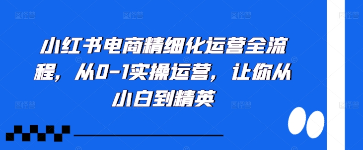 小红书电商精细化运营全流程，从0-1实操运营，让你从小白到精英-ANQUYE-HENHENLU-26UUU[首页]