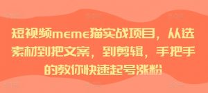 短视频meme猫实战项目，从选素材到把文案，到剪辑，手把手的教你快速起号涨粉-ANQUYE-HENHENLU-26UUU[首页]