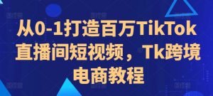 从0-1打造百万TikTok直播间短视频，Tk跨境电商教程-ANQUYE-HENHENLU-26UUU[首页]