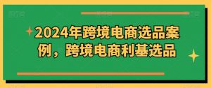 2024年跨境电商选品案例，跨境电商利基选品（更新11月）-ANQUYE-HENHENLU-26UUU[首页]
