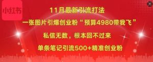 小红书11月最新图片打粉，一张图片引爆创业粉，“预算4980带我飞”，单条引流500+精准创业粉-ANQUYE-HENHENLU-26UUU[首页]