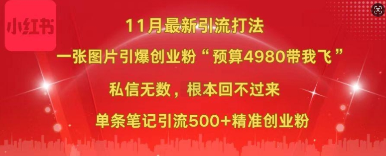 小红书11月最新图片打粉，一张图片引爆创业粉，“预算4980带我飞”，单条引流500+精准创业粉-ANQUYE-HENHENLU-26UUU[首页]