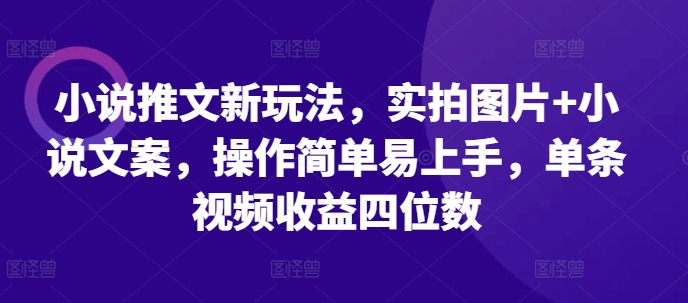 小说推文新玩法，实拍图片+小说文案，操作简单易上手，单条视频收益四位数-ANQUYE-HENHENLU-26UUU[首页]