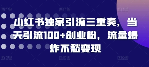 小红书独家引流三重奏，当天引流100+创业粉，流量爆炸不愁变现【揭秘】-ANQUYE-HENHENLU-26UUU[首页]