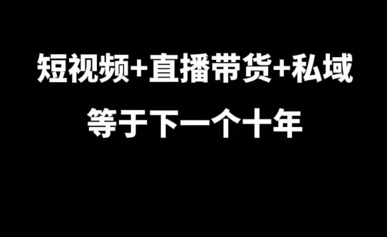 短视频+直播带货+私域等于下一个十年，大佬7年实战经验总结-ANQUYE-HENHENLU-26UUU[首页]