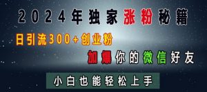 2024年独家涨粉秘籍，日引流300+创业粉，加爆你的微信好友，小白也能轻松上手-ANQUYE-HENHENLU-26UUU[首页]