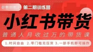 小Red书带货42天训练营 2.0版，宝妈+自由职+上班族+大学生，提高副业收入的大红利项目-ANQUYE-HENHENLU-26UUU[首页]