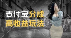 支付宝分成计划新玩法，利用交通事故视频，赚收益，轻松月入过W，操作简单【揭秘】-ANQUYE-HENHENLU-26UUU[首页]