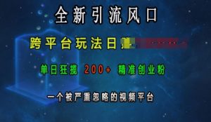 全新引流风口，跨平台玩法日入上k，单日狂揽200+精准创业粉，一个被严重忽略的视频平台-ANQUYE-HENHENLU-26UUU[首页]