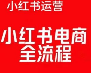 红薯电商实操课，小红书电商全流程-ANQUYE-HENHENLU-26UUU[首页]