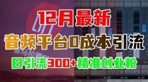 12月最新：音频平台0成本引流，日引流300+精准创业粉-ANQUYE-HENHENLU-26UUU[首页]