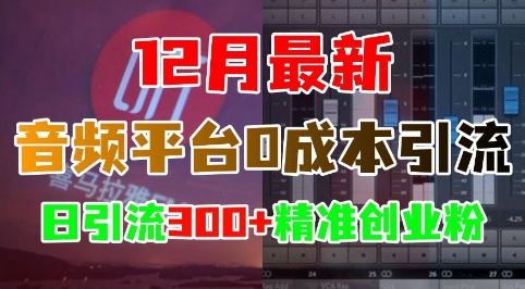 12月最新：音频平台0成本引流，日引流300+精准创业粉-ANQUYE-HENHENLU-26UUU[首页]