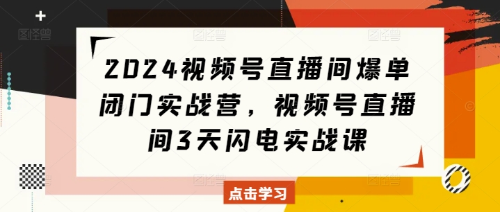 2024视频号直播间爆单闭门实战营，视频号直播间3天闪电实战课-ANQUYE-HENHENLU-26UUU[首页]
