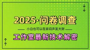 2025问卷调查最新工作室技术解密：一个人在家也可以闷声发大财，小白一天2张，可矩阵放大【揭秘】-ANQUYE-HENHENLU-26UUU[首页]