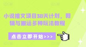 小说推文项目38天计划，剪辑与搬运多种玩法教程-ANQUYE-HENHENLU-26UUU[首页]
