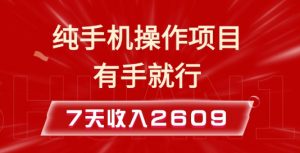 纯手机操作的小项目，有手就能做，7天收入2609+实操教程【揭秘】-ANQUYE-HENHENLU-26UUU[首页]
