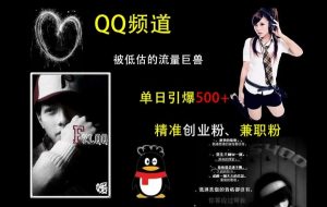 QQ频道：被低估的流量巨兽，单日引爆500+精准创业粉、兼职粉的引流秘籍-ANQUYE-HENHENLU-26UUU[首页]