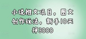 小说推文项目，图文创作玩法，新手10天挣3000-ANQUYE-HENHENLU-26UUU[首页]