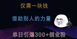 仅需一块钱，借助别人的力量，单日引爆300+创业粉、兼职粉【揭秘】-ANQUYE-HENHENLU-26UUU[首页]