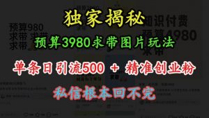 预算3980求带 图片玩法，单条日引流500+精准创业粉，私信根本回不完-ANQUYE-HENHENLU-26UUU[首页]
